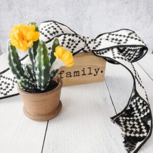 3-piece-desert-cactus-kit-60a4a4ec-300x300