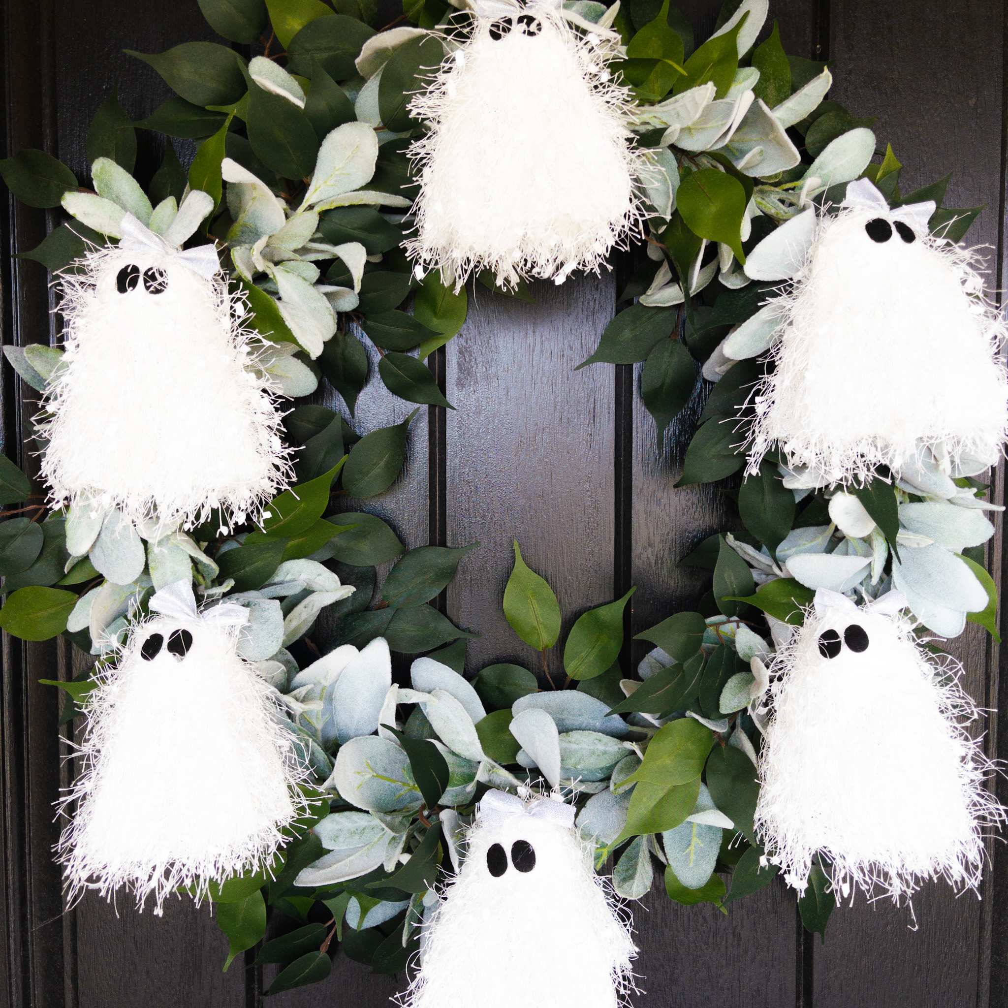 No Spooks Ghost Kit