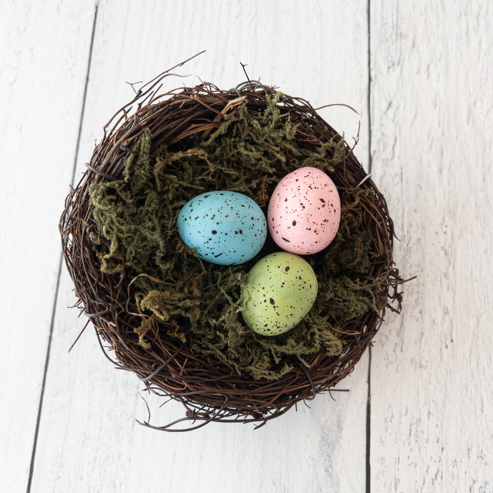 Large Egg Nest