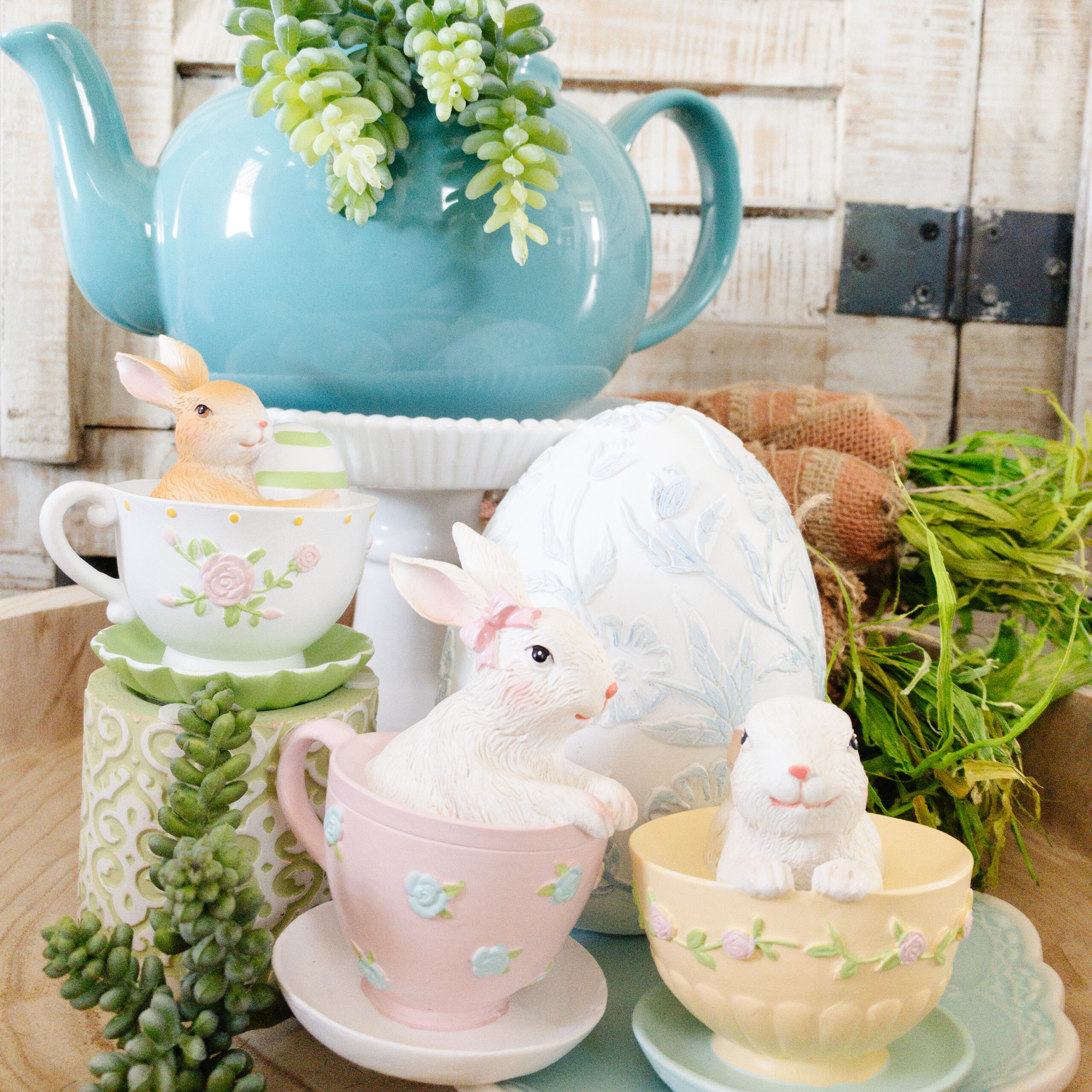 Teacup Bunnies