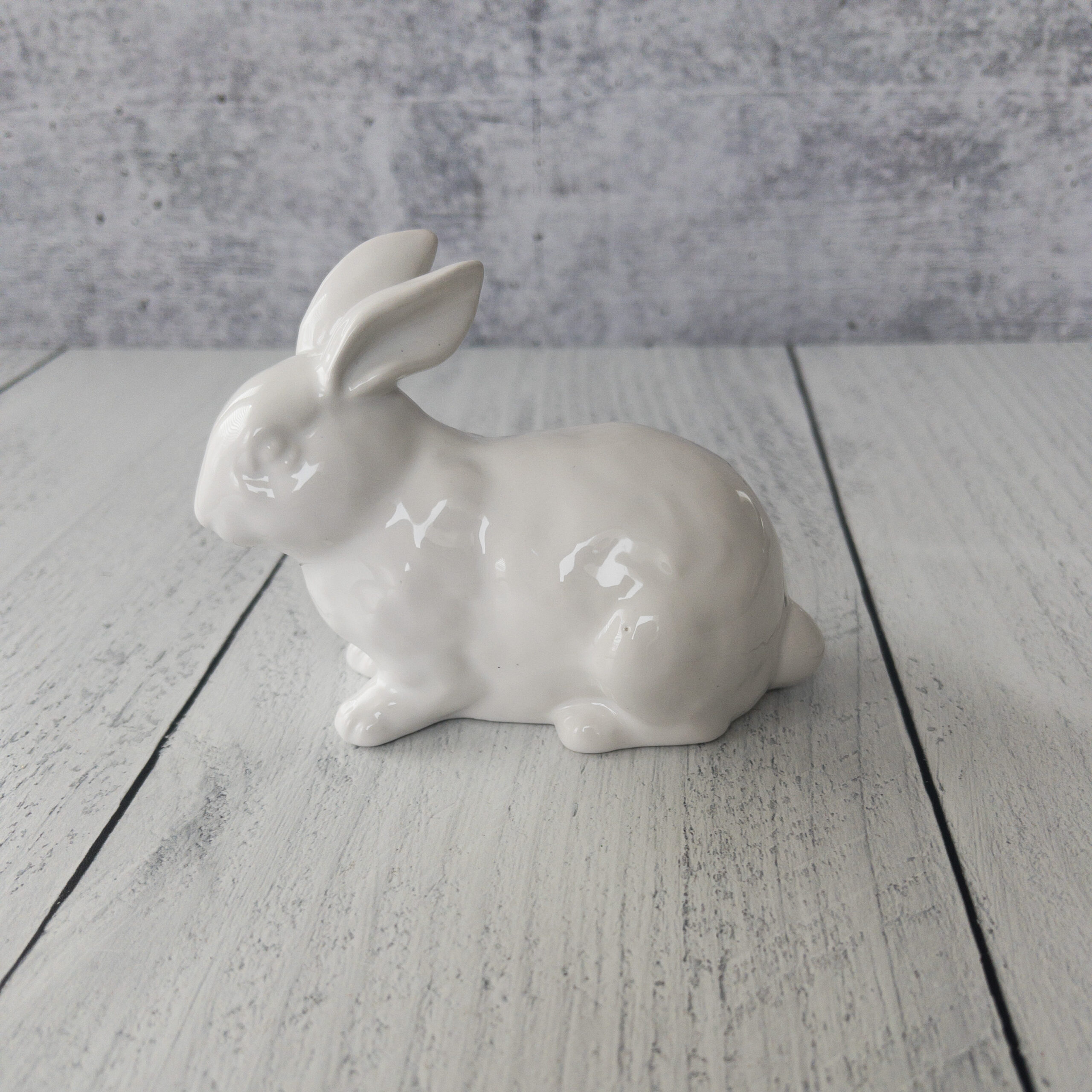 White Glossy Bunny