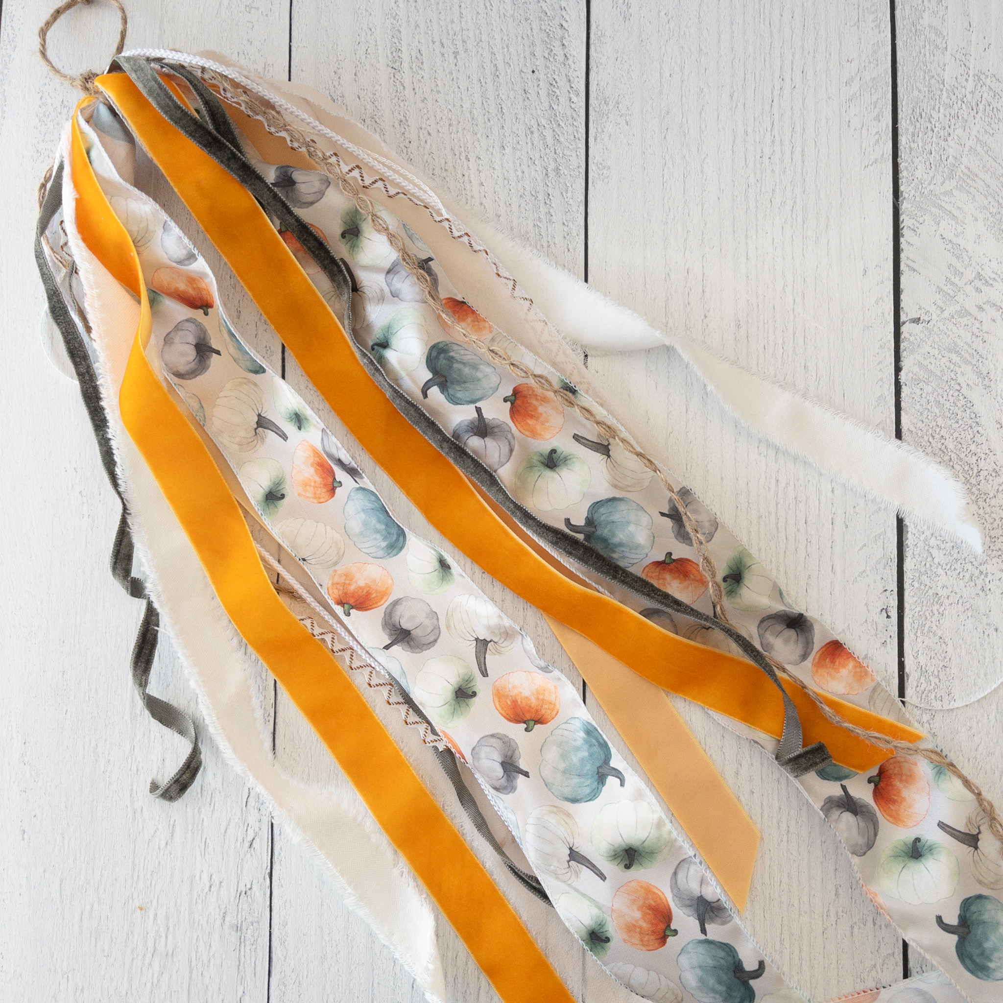 Orange Blue Pumpkin Long Ribbon Set