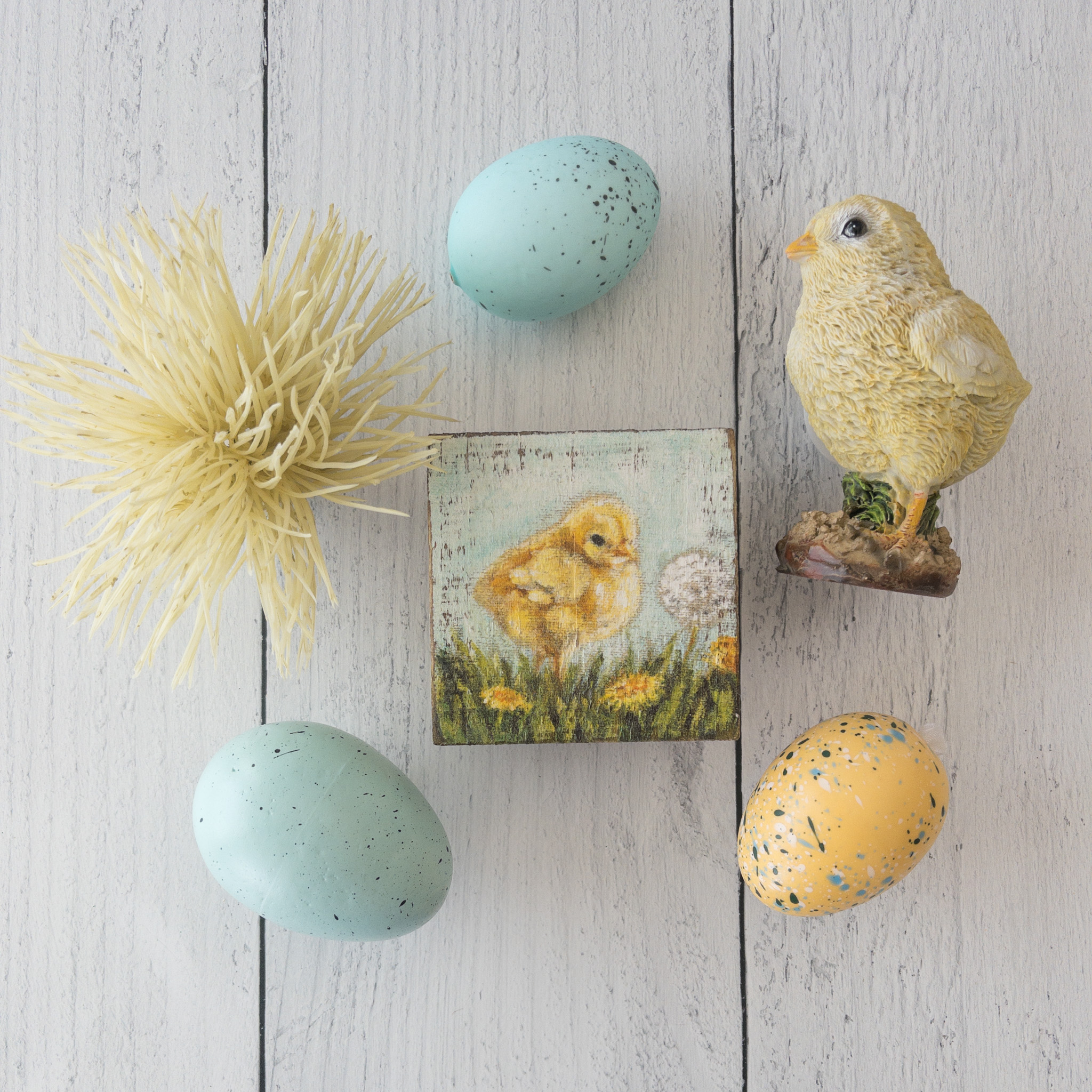 Eggs and Chicks