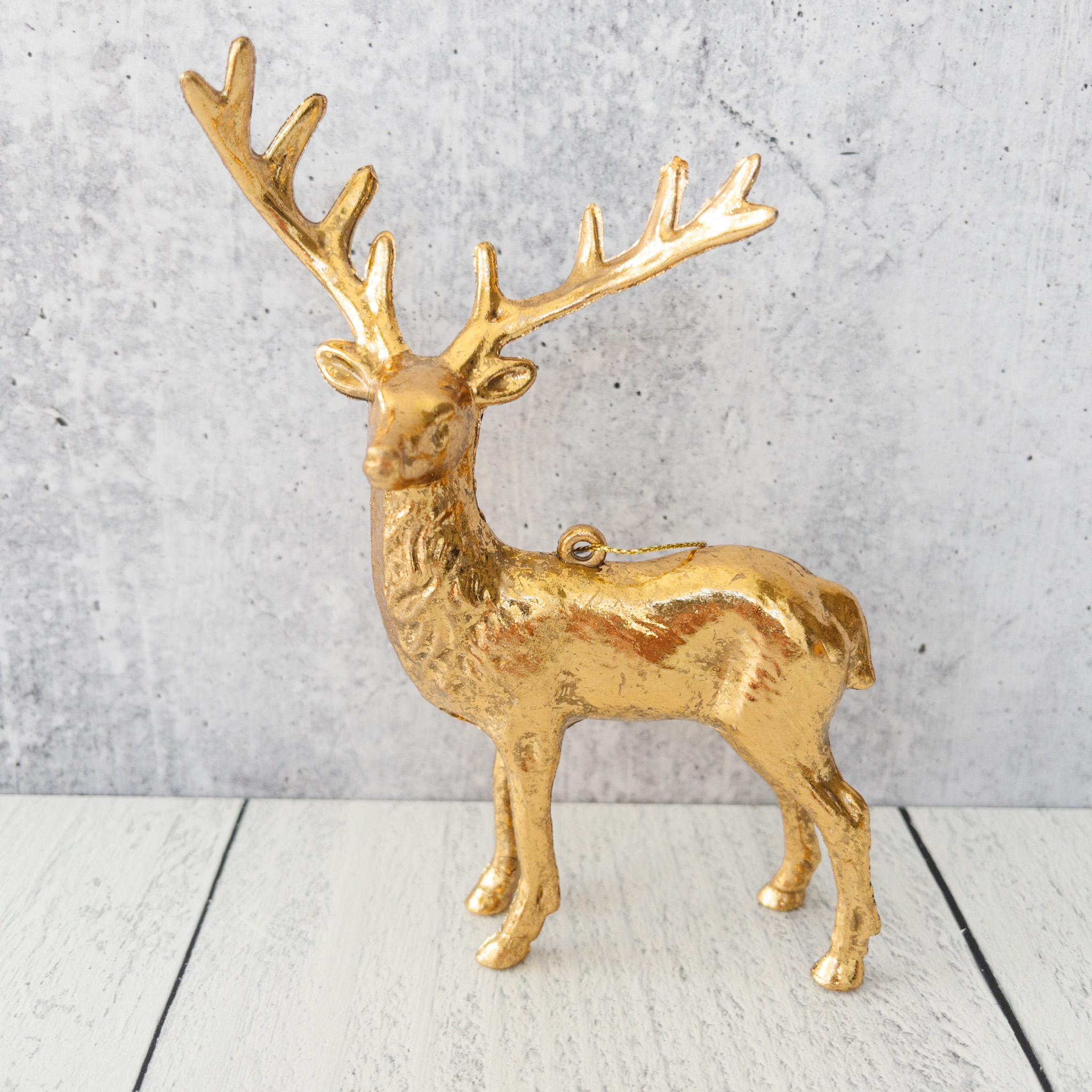 Reindeer