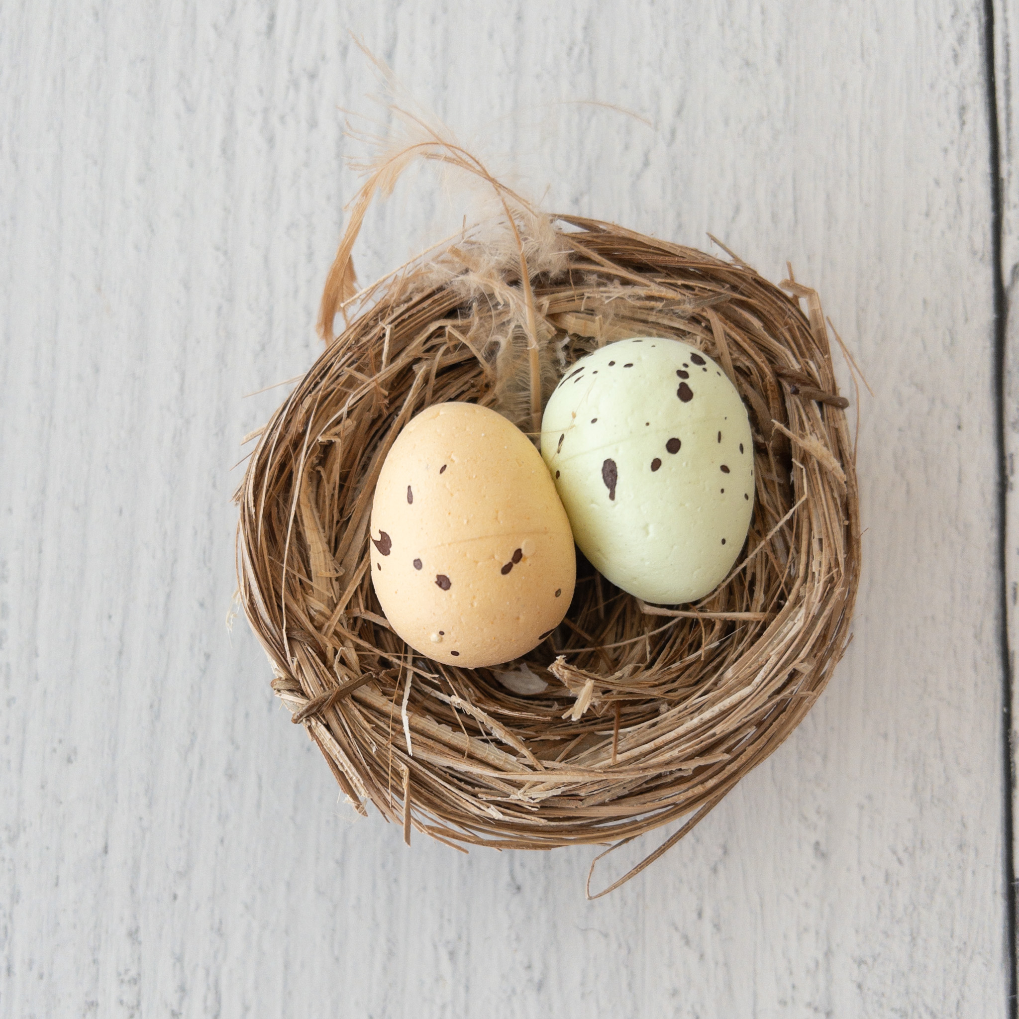 Small Nest with Eggs