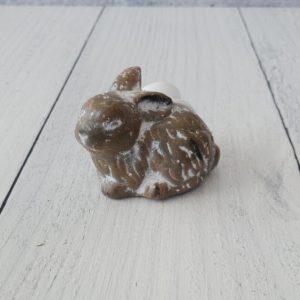 White-washed brown bunnies