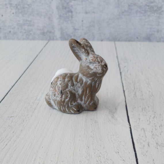 White-washed brown bunnies - Image 3